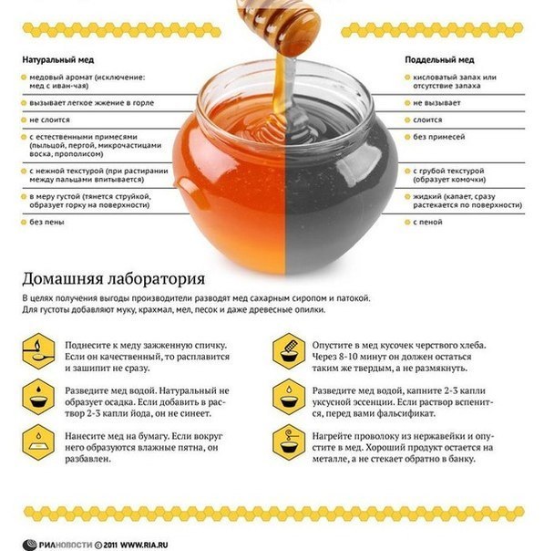 Шпаргалка, как отличать натуральный мед от подделки