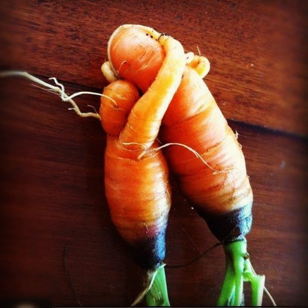 Милые морковки :)