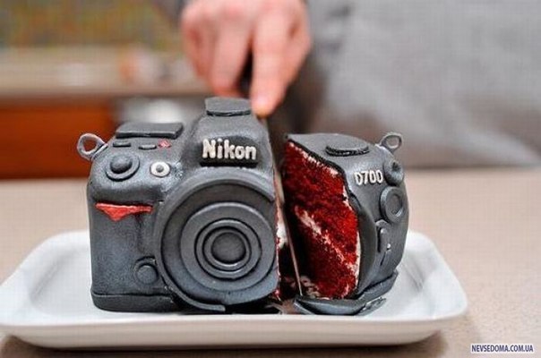 Торт для фотографа